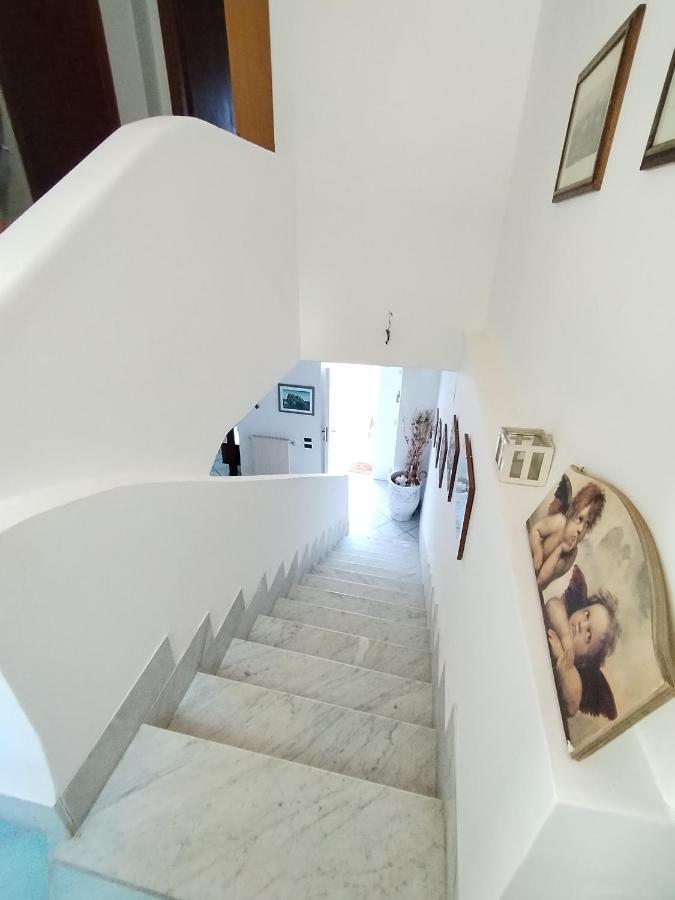 Villa Don Carlo *