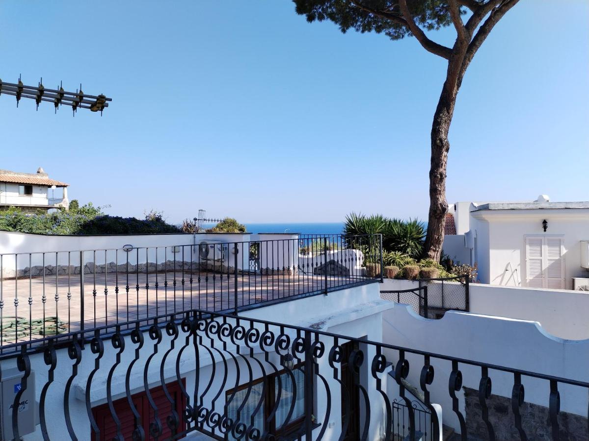 Don Carlo Villa Ischia